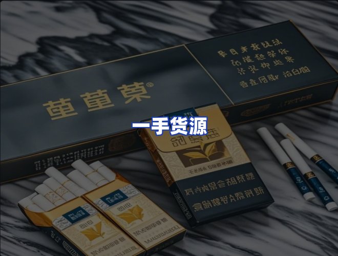 专业团队